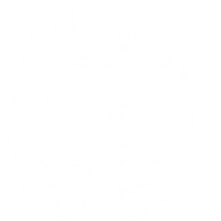 HNC